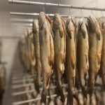 5 legendäre Fischideen für Weihnachten – Mythen, Magie & meisterhafte Rezepte