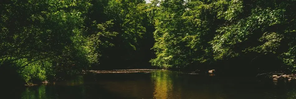 Natur